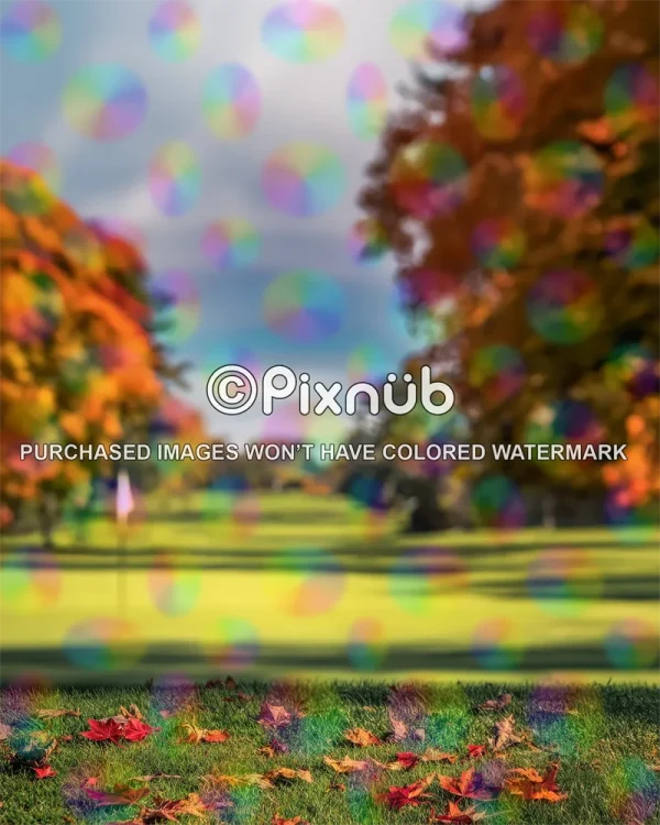 Fall Fairway - Digital Background - Image 2